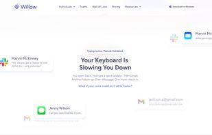 Willow Voice screenshot 1