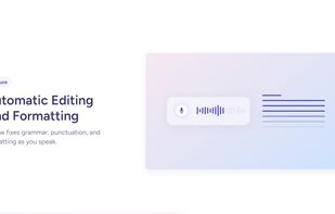 Willow Voice screenshot 3