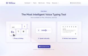Willow Voice screenshot 2