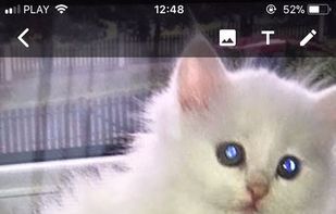 Willy- Send it to the future screenshot 1