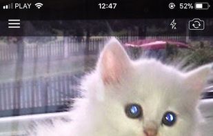 Willy- Send it to the future screenshot 1