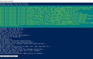 Win10-Initial-Setup-Script screenshot 1