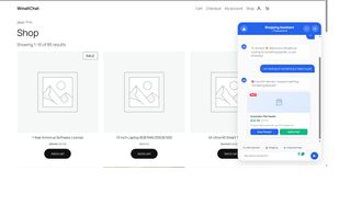 WinaltChat screenshot 2