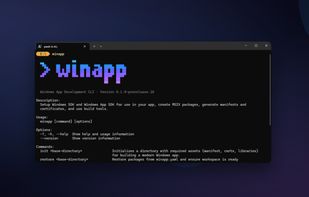 WinApp screenshot 1