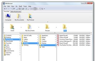 WinBrowser screenshot 1