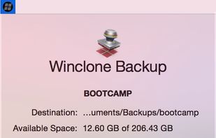 Winclone screenshot 1
