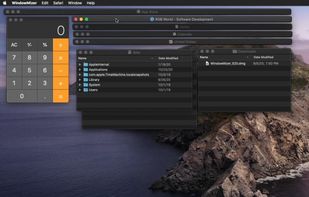 WindowMizer screenshot 2
