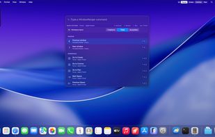 WindowRanger screenshot 1