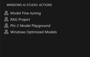 Windows AI Studio screenshot 1