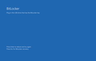Windows BitLocker screenshot 1