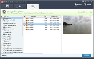 Windows Data Recovery Pro screenshot 3