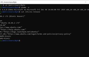 Windows Subsystem for Linux screenshot 1