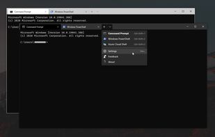White and dark theme showcase