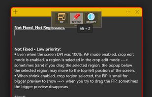 WindowTop screenshot 2