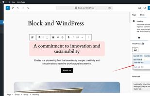 WindPress screenshot 1