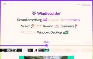 Windrecorder screenshot 3