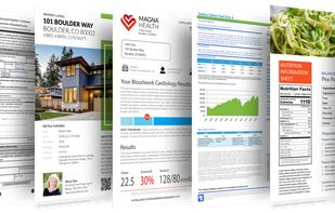 Windward Core - Document Generation Component screenshot 1