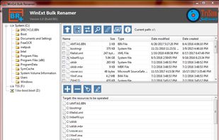 WinExt Bulk Renamer screenshot 1