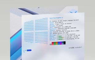 Winfetch by Kiëd Llaentenn screenshot 1