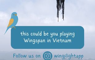 Wingflight screenshot 1