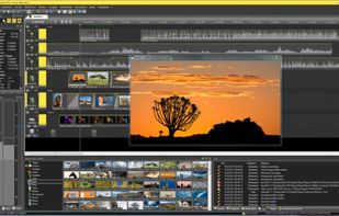 Wings VIOSO screenshot 1