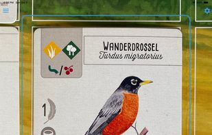 Wingsong screenshot 1