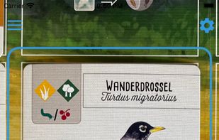 Wingsong screenshot 3