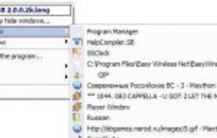 WinHide.SB screenshot 1