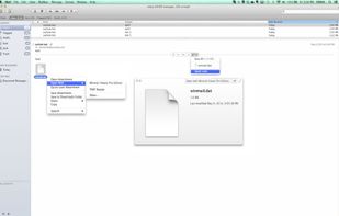 Winmail.dat Viewer Pro Edition screenshot 1