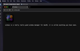 WinMux screenshot 1