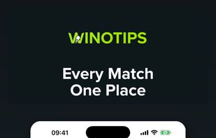 Winotips screenshot 1