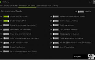 WinPurify screenshot 2