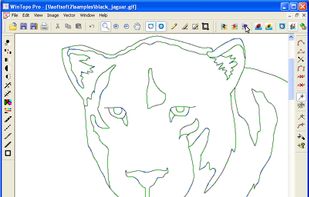 Wintopo screenshot 1