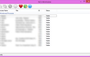 WinVisible screenshot 2