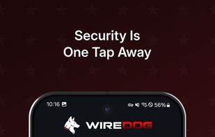 WireDog VPN screenshot 1