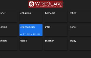 WireGuard screenshot 1