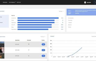 Wirestock screenshot 1