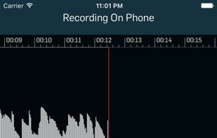 WireTap Riff Recorder screenshot 1
