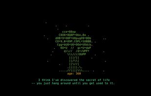 Wisdom Tree screenshot 2