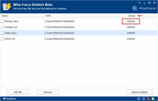 Wise Force Deleter screenshot 3