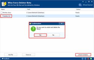 Wise Force Deleter screenshot 2