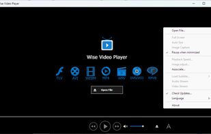 Wise Video Player screenshot 2