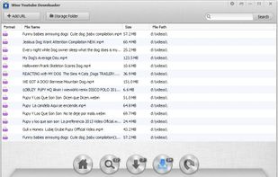 Wise Youtube Downloader screenshot 3