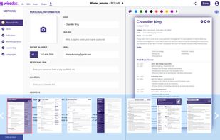 UI of Wisedoc Resume Builder