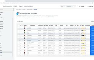 Wisej.NET DemoBrowser