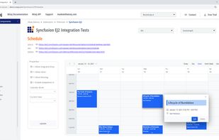 Wisej.NET Syncfusion Essential JavaScript 2 Integration