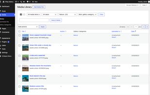 Wisp Gallery screenshot 2