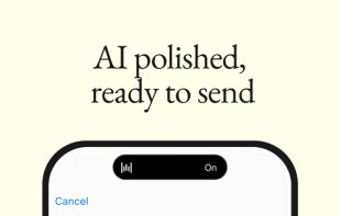 Wispr Flow screenshot 1