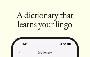 Wispr Flow screenshot 2