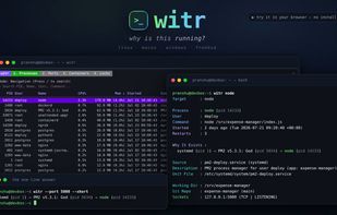 witr screenshot 2